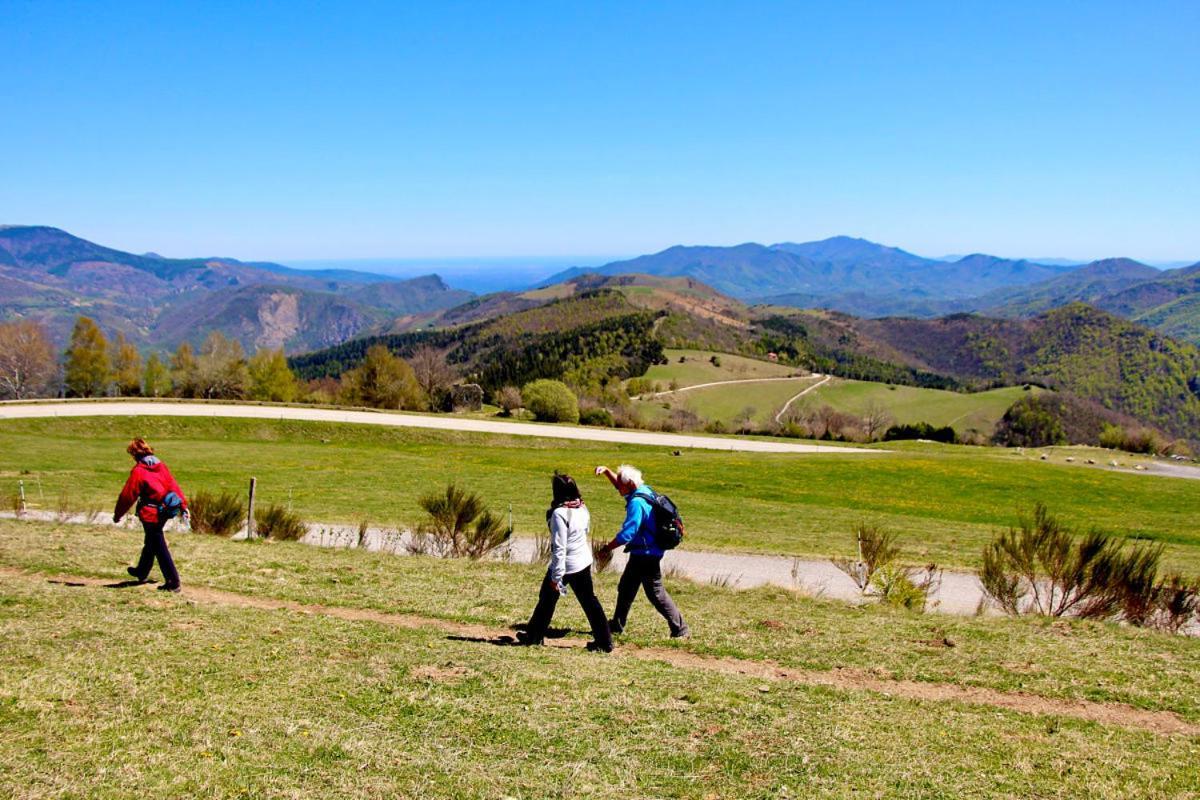 Naturaleza Y Aire Puro En El Pirineo Oriental En Una Bonita Casa Rural De Piedra プラット・ド・モロ・ラ・プレスト エクステリア 写真