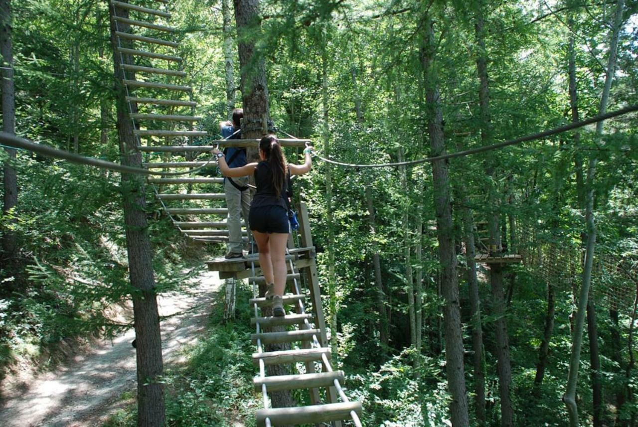 Naturaleza Y Aire Puro En El Pirineo Oriental En Una Bonita Casa Rural De Piedra プラット・ド・モロ・ラ・プレスト エクステリア 写真