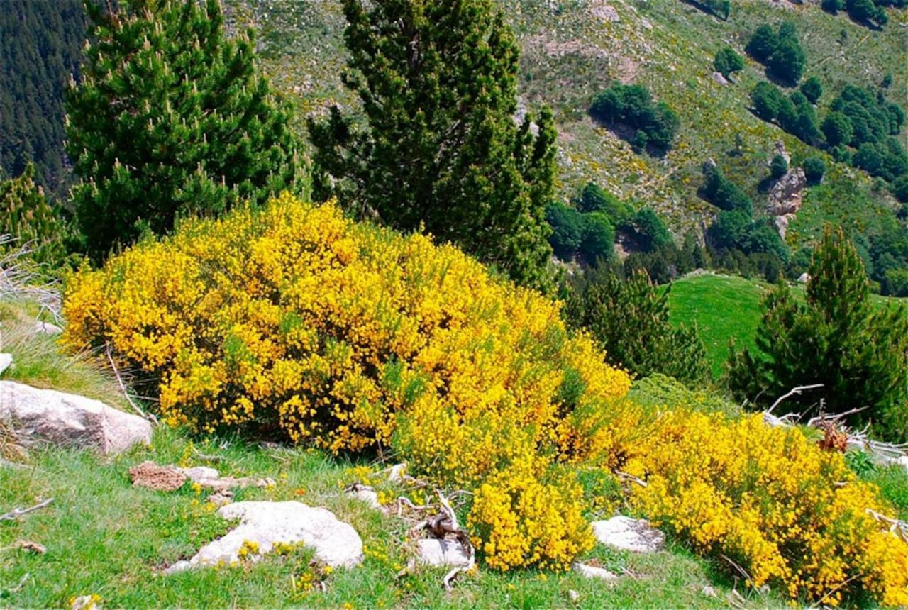Naturaleza Y Aire Puro En El Pirineo Oriental En Una Bonita Casa Rural De Piedra プラット・ド・モロ・ラ・プレスト エクステリア 写真